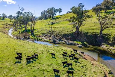 Lifestyle For Sale - NSW - Mandurama - 2792 - BEAUTIFUL FAMILY HOME SET ON 267 ACRES OF HIGH QUALITY, CREEK FRONTAGE LAND! (Image 2)