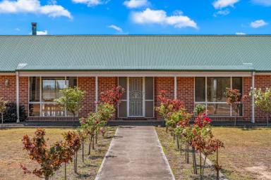 Lifestyle For Sale - NSW - Singleton - 2330 - 110 Acre Rural Sanctuary Just Minutes From Singleton Township!  (Image 2)