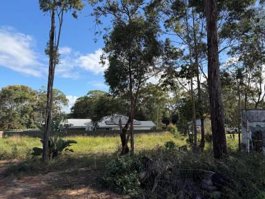 Residential Block Sold - QLD - Russell Island - 4184 - CHEAP TOWN BLOCK (Image 2)