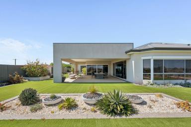 House For Sale - WA - Beeliar - 6164 - Spectacular Oversized Family Resort Living  (Image 2)