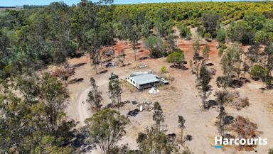 House For Sale - QLD - Isis Central - 4660 - YOUR CHANCE TO BE TARZAN - BE OFF THE GRID -  7.95 ACRES  (Image 2)