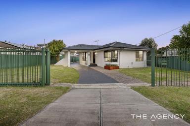 House For Sale - WA - Belmont - 6104 - Renovated, Spacious + Approval for 3x2 Granny Flat (Image 2)