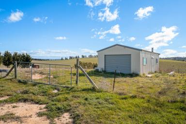 Cropping Auction - NSW - Goulburn - 2580 - 11.65ha of Rural Opportunity - Transition Zoned Goulburn  (Image 2)