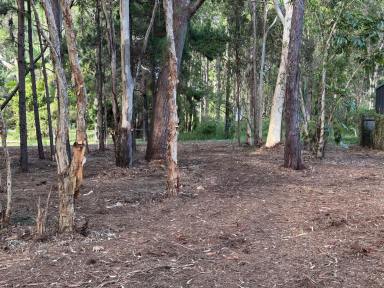Residential Block Sold - QLD - Russell Island - 4184 - LOCAL CENTRE ZONING & WATERFRONT. (Image 2)