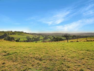 Residential Block For Sale - VIC - Bruthen - 3885 - RURAL LIFESTYLE WITH EXPANSIVE TAMBO RIVER VIEWS  (Image 2)