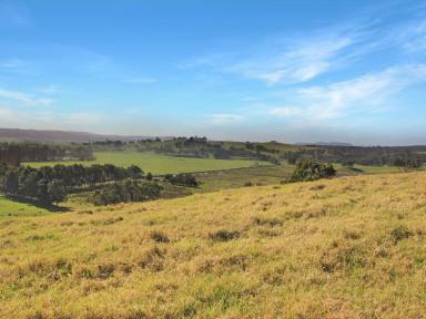 Residential Block For Sale - VIC - Bruthen - 3885 - RURAL LIFESTYLE WITH EXPANSIVE TAMBO RIVER VIEWS  (Image 2)