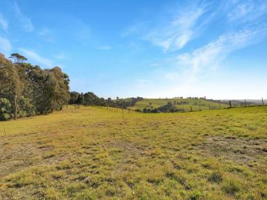 Residential Block For Sale - VIC - Bruthen - 3885 - RURAL LIFESTYLE WITH EXPANSIVE TAMBO RIVER VIEWS  (Image 2)