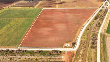 Horticulture For Sale - NSW - Hanwood - 2680 - FERTILE SOILS WITH IRRIGATION/ PUMPING STATION  (Image 2)