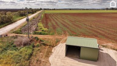 Horticulture For Sale - NSW - Hanwood - 2680 - FERTILE SOILS WITH IRRIGATION/ PUMPING STATION  (Image 2)