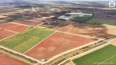 Horticulture For Sale - NSW - Hanwood - 2680 - FERTILE SOILS WITH IRRIGATION/ PUMPING STATION  (Image 2)