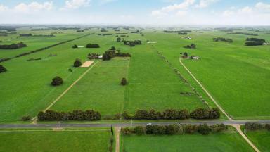 Livestock For Sale - VIC - Purnim - 3278 - The Perfect Outpaddock – 17km Warrnambool  (Image 2)