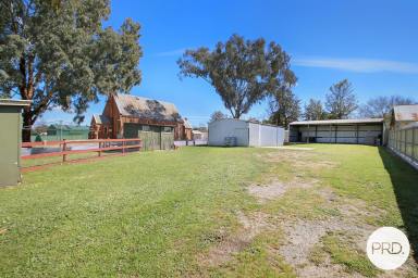 Residential Block For Sale - VIC - Chiltern - 3683 - GENEROUS LOT WITH GREAT SHEDDING (Image 2)