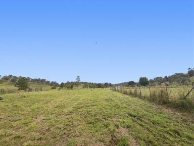 Residential Block For Sale - NSW - Kyogle - 2474 - BUILD YOUR DREAM HOME NOW!! (Image 2)