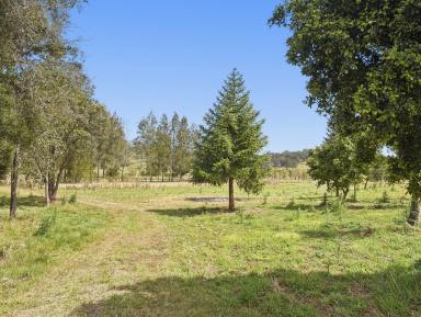 Residential Block For Sale - NSW - Kyogle - 2474 - BUILD YOUR DREAM HOME NOW!! (Image 2)