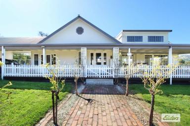 House For Sale - VIC - Harcourt North - 3453 - LOCATION, LIFESTYLE & SPECTACULAR VIEWS  (Image 2)