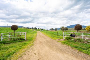 Mixed Farming For Sale - VIC - Cudgewa - 3705 - Productivity in a Top-Tier Farming District  (Image 2)