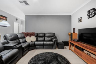 Villa For Sale - WA - Westminster - 6061 - 184sqm of Easy Living With All the Extras!  (Image 2)