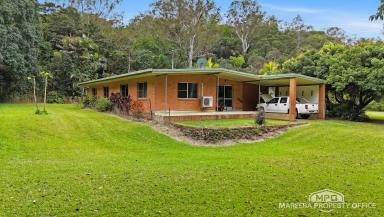 Lifestyle For Sale - QLD - Julatten - 4871 - PEACEFUL JULATTEN LIFESTYLE RETREAT ON 6.08HA (Image 2)