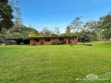 Lifestyle For Sale - QLD - Julatten - 4871 - PEACEFUL JULATTEN LIFESTYLE RETREAT ON 6.08HA (Image 2)