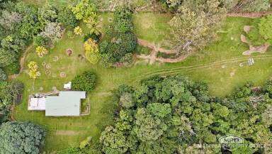 Lifestyle For Sale - QLD - Julatten - 4871 - PEACEFUL JULATTEN LIFESTYLE RETREAT ON 6.08HA  (Image 2)