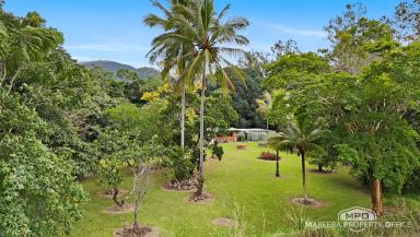 Lifestyle For Sale - QLD - Julatten - 4871 - PEACEFUL JULATTEN LIFESTYLE RETREAT ON 6.08HA  (Image 2)