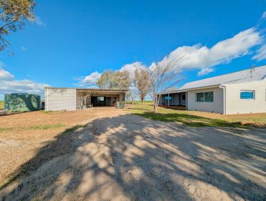 Acreage/Semi-rural For Sale - VIC - Tragowel - 3579 - Like New – Rural Lifestyle Property  (Image 2)