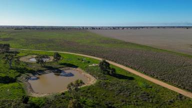 Cropping For Sale - NSW - Collie - 2827 - Berragoon | Highly productive Central West dryland cropping opportunity  (Image 2)