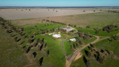 Cropping For Sale - NSW - Collie - 2827 - Berragoon | Highly productive Central West dryland cropping opportunity  (Image 2)