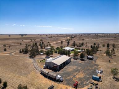 Cropping For Sale - NSW - Collie - 2827 - Berragoon | Highly productive Central West dryland cropping opportunity  (Image 2)