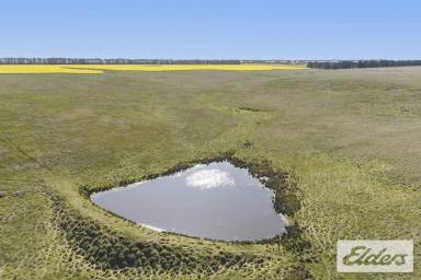 Mixed Farming For Sale - VIC - Ballyrogan - 3375 - 327 Acres of Quality Cropping & Grazing Land  (Image 2)