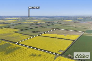 Mixed Farming For Sale - VIC - Ballyrogan - 3375 - 327 Acres of Quality Cropping & Grazing Land  (Image 2)