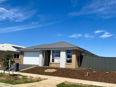 House For Lease - VIC - Echuca - 3564 - Modern, Comfort and Convenience  (Image 2)