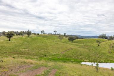 Mixed Farming For Sale - NSW - Barraba - 2347 - VERSATILE MIXED FARM WITH QUALITY INFRASTRUCTURE (Image 2)