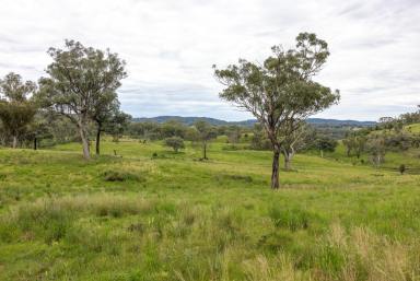 Mixed Farming For Sale - NSW - Barraba - 2347 - VERSATILE MIXED FARM WITH QUALITY INFRASTRUCTURE (Image 2)