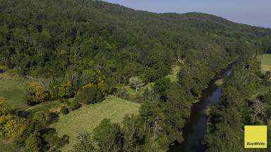 Lifestyle For Sale - NSW - Thora - 2454 - Valley Mist Farm  (Image 2)
