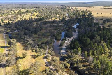 House For Sale - WA - Cowalla - 6503 - PRIME RIVERFRONT ACERAGE 194Acres 5 titled lots OFF GRID  (Image 2)