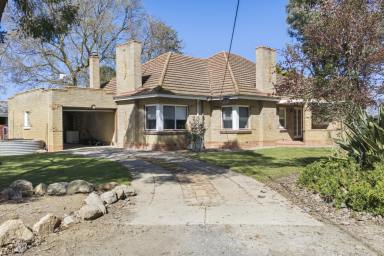Cropping Auction - VIC - Kyabram - 3620 - Exceptional 35 Acres on the edge of Kyabram  (Image 2)