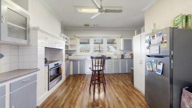 Cropping Auction - VIC - Kyabram - 3620 - Exceptional 35 Acres on the edge of Kyabram  (Image 2)