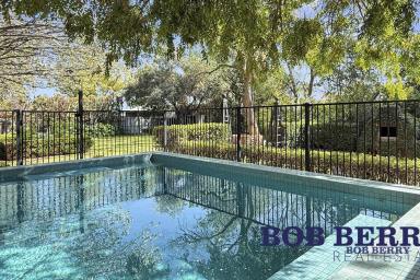 House For Lease - NSW - Narromine - 2821 - Renovated Family Home with Pool & Established Gardens  (Image 2)