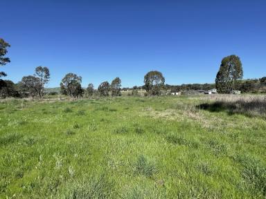 Residential Block For Sale - NSW - Gundagai - 2722 - Rural Lifestyle, Just minutes from town. (Image 2)