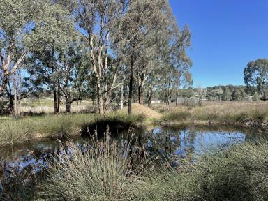 Residential Block For Sale - NSW - Gundagai - 2722 - Rural Lifestyle, Just minutes from town. (Image 2)