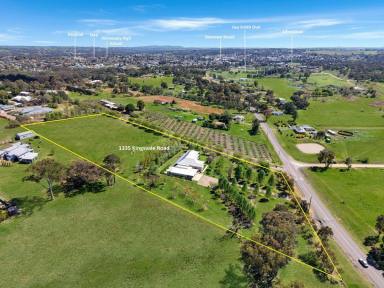 House For Sale - NSW - Young - 2594 - Exceptional Lifestyle Living on 5.2 Acres  (Image 2)