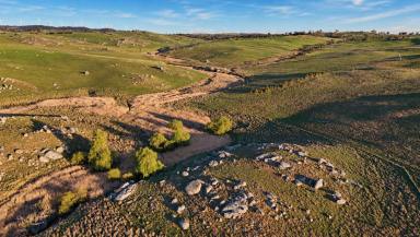 Mixed Farming For Sale - NSW - Gunning - 2581 - HUME FIELD  (Image 2)