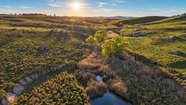 Mixed Farming For Sale - NSW - Gunning - 2581 - HUME FIELD  (Image 2)