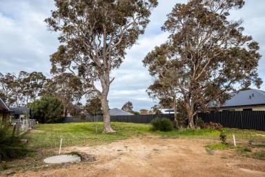 Residential Block For Sale - WA - Cowaramup - 6284 - Prime Position , Endless Possibility  (Image 2)