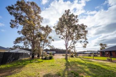 Residential Block For Sale - WA - Cowaramup - 6284 - Prime Position , Endless Possibility  (Image 2)