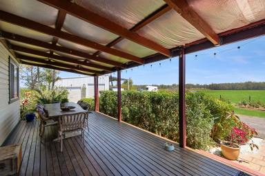 Livestock For Sale - NSW - West Coraki - 2471 - SANDY CREEK - 490 ACRES OF NORTHERN RIVERS LIVESTOCK AND FARMING  (Image 2)