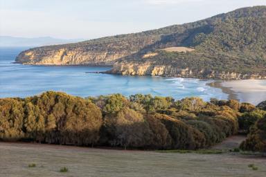 Residential Block For Sale - TAS - Nubeena - 7184 - Final Lot at Windgrove.  A Legacy of Peace, Nature, Living Art & Vision  (Image 2)