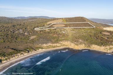 Residential Block For Sale - TAS - Nubeena - 7184 - Final Lot at Windgrove.  A Legacy of Peace, Nature, Living Art & Vision  (Image 2)