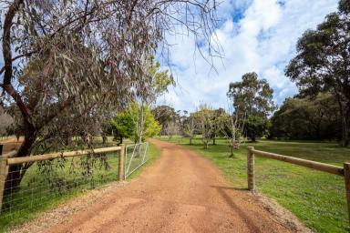 Residential Block For Sale - WA - Margaret River - 6285 - Prime position between the best of both worlds  (Image 2)